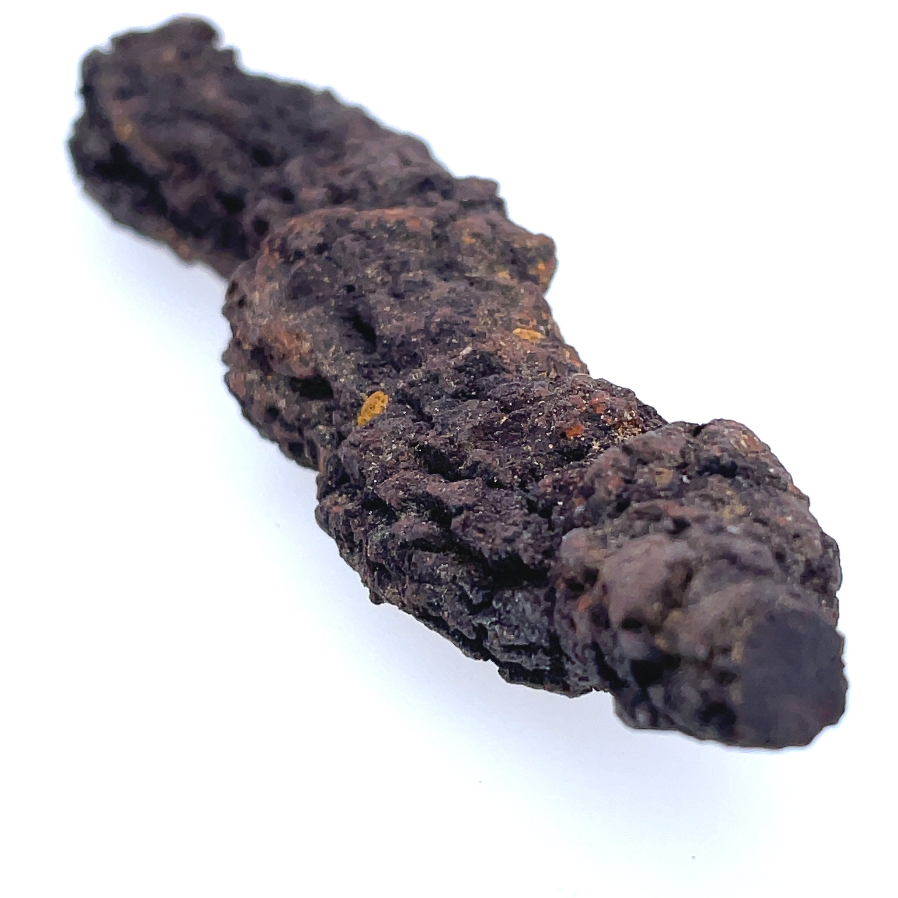 Coprolit Coprolite – Foxtail Gallery